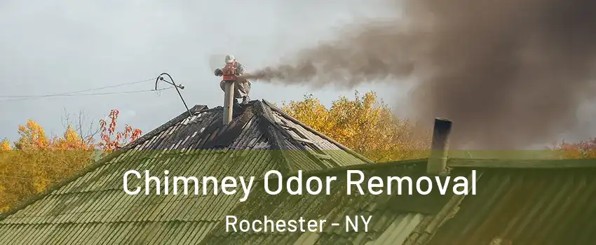  Chimney Odor Removal Rochester - NY