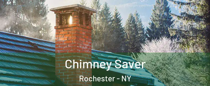 Chimney Saver Rochester - NY