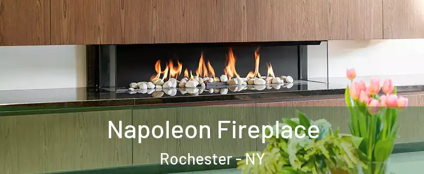  Napoleon Fireplace Rochester - NY